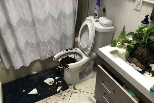 Những sự cố oái oăm trong nhà khiến chủ nhân 'phát điên'