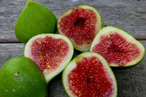 Quả sung - vị thuốc đặc trị bệnh tiểu đường