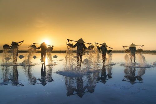 4 cánh đồng muối nổi tiếng ở miền Trung