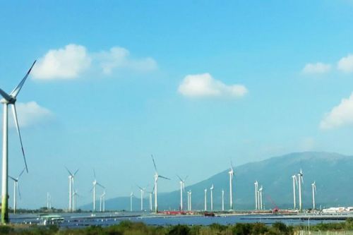 Khánh thành nhà máy điện gió Trung Nam