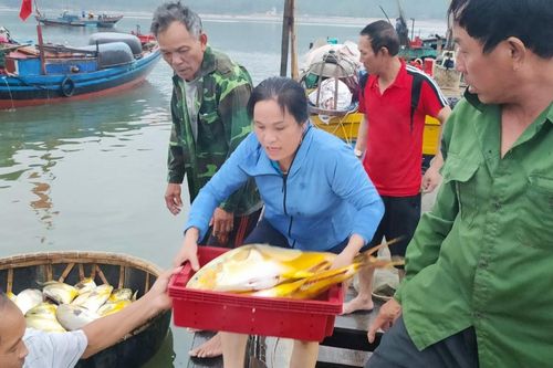 Ngư dân Hà Tĩnh trúng đậm cá vàng dương sau một đêm ra khơi