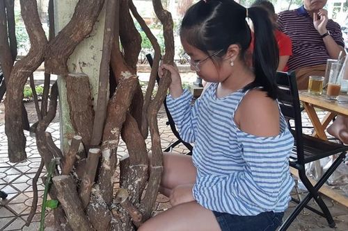 Đắk Lắk: Giàn hoa giấy ở trung tâm thành phố Buôn Ma Thuột bị hủy hoại