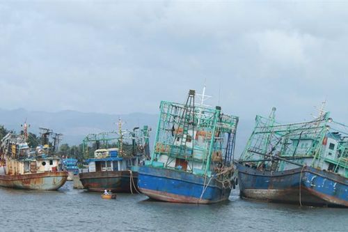 'Báo động đỏ' nghề khai thác thủy sản?
