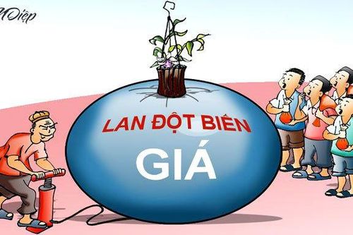 Cần ứng biến quyết liệt hơn trước những 'đột biến'
