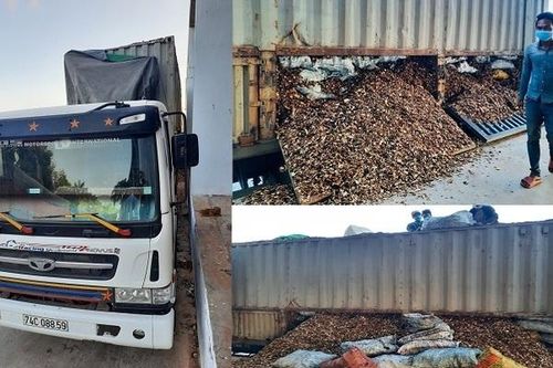 Bí mật bên trong xe chở dăm gỗ chuẩn bị 'lọt' cửa khẩu sang Lào