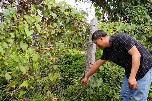 Cảnh giác, phòng ngừa tội phạm trộm cắp hoa kiểng
