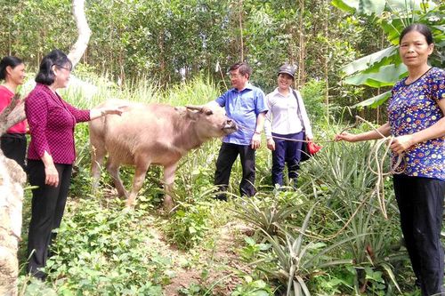 Nâng cánh ước mơ