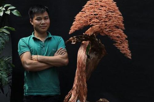 Những cây bonsai đẹp đến khó tin làm ra từ bàn tay người mắc 'căn bệnh hoàng gia'