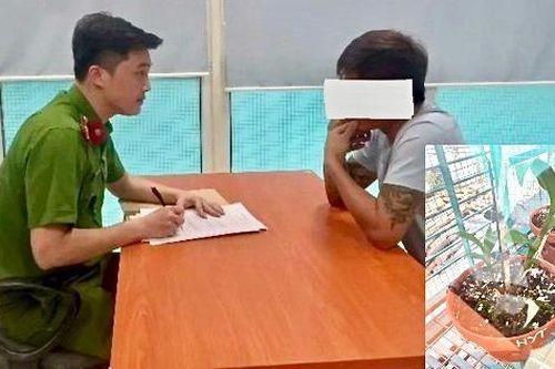 Vụ nhiều cá nhân 'tố' bị lừa tiền tỷ ở Ứng Hòa, Hà Nội: Chủ vườn lan không bỏ trốn!