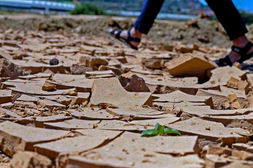 Hồ Đankia - Suối Vàng cạn trơ đáy