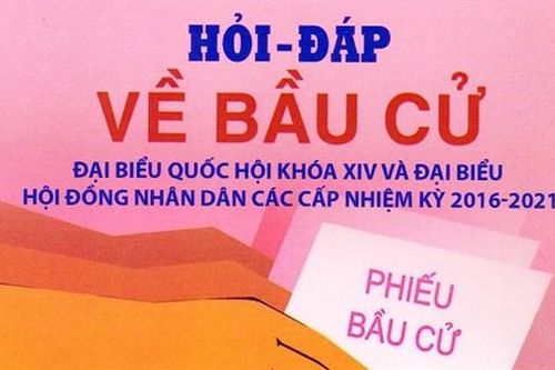 Hoạt động vận động bầu cử được tiến hành như thế nào?