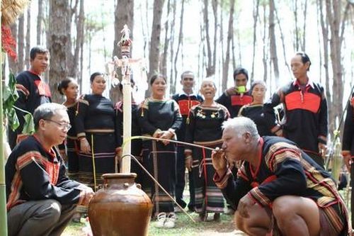 Rượu cần và Tây Nguyên