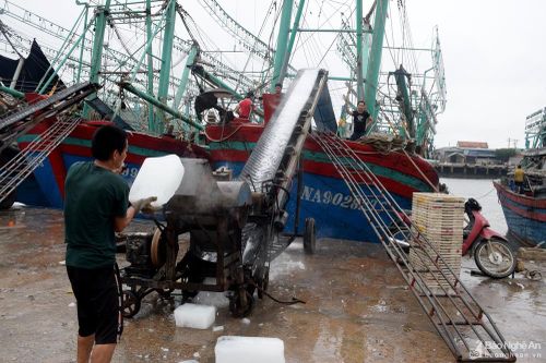 Tàu cá Nghệ An 'nạp' hàng nghìn tấn đá lạnh để vươn khơi