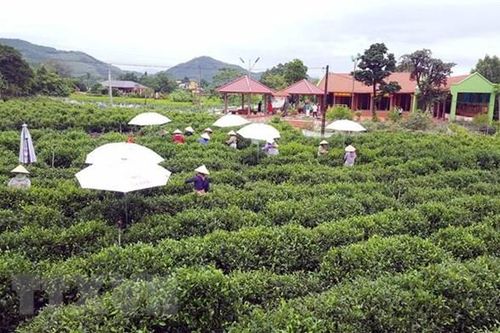 Qua miền di sản Việt Bắc - Cơ hội quảng bá cho du lịch Thái Nguyên