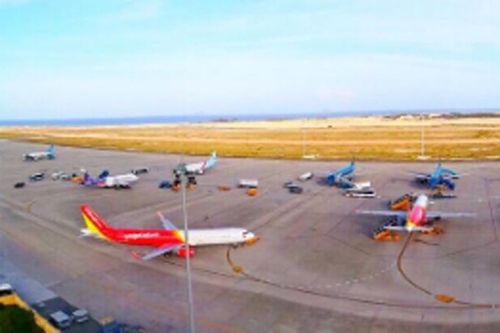 Ngăn ngừa tình trạng động vật đột nhập sân bay