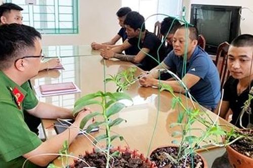 Lan đột biến là hiện tượng 'bong bóng' không thể tồn tại lâu