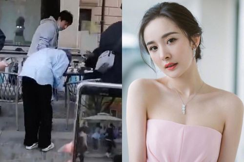 Dương Mịch cúi đầu xin lỗi vì đi trễ