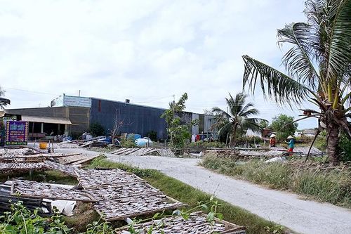 Cần xử lý dứt điểm vụ chiếm dụng đất trái phép ở miền biển Cà Mau