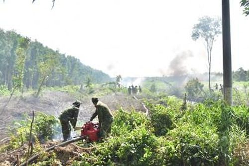 Dồn sức phòng, chống cháy rừng mùa khô hạn