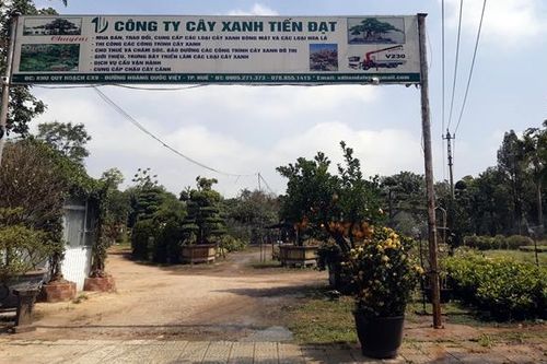 Hết hạn thuê đất 'vàng' vẫn chần chừ chưa trả mặt bằng cho Nhà nước