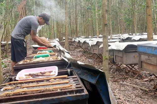 Rong ruổi đi tìm mùa khô