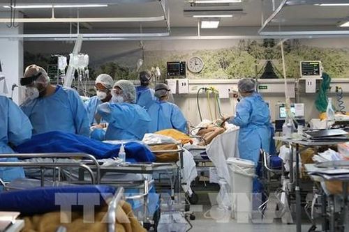 Brazil yêu cầu phụ nữ hoãn mang thai