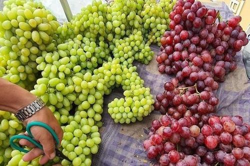 4 loại quả Trung Quốc 'đội lốt' hàng Việt, người tiêu dùng lưu ý