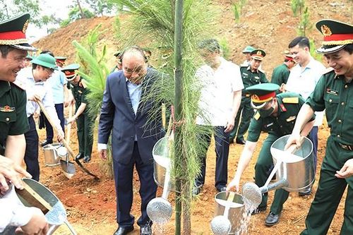 Quân đội gương mẫu, đi đầu trong phong trào trồng 1 tỷ cây xanh