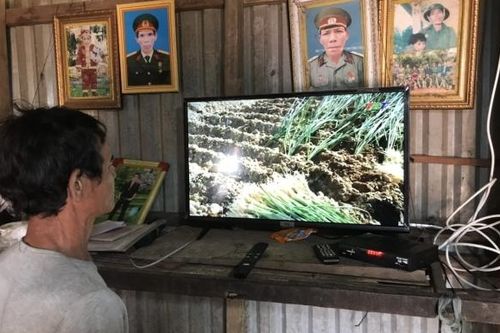 Những đổi thay ở vùng cao Canh Liên khi có điện lưới Quốc gia
