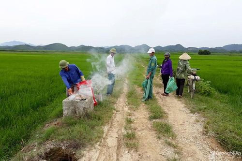 Điểm sáng 'Sạch từ nhà ra đồng ruộng' ở Anh Sơn