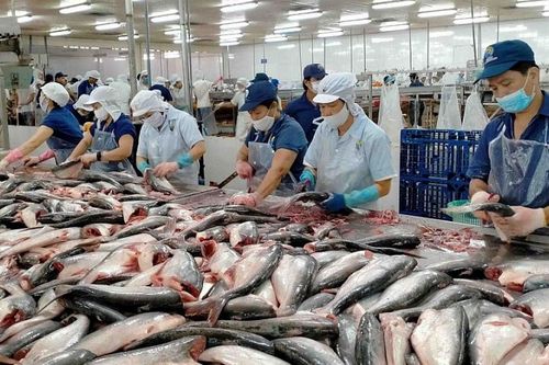 Châu Âu áp dụng mẫu chứng thư mới cho thủy sản nhập khẩu