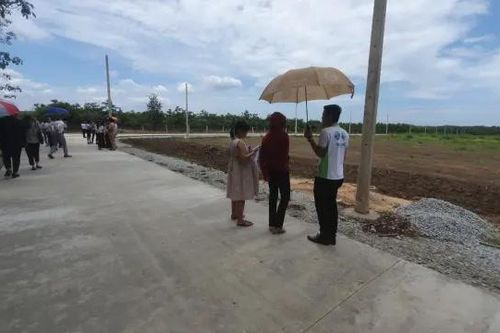 Kiểm tra việc chuyển đổi mục đích đất, phân lô bán nền tại hàng loạt địa phương