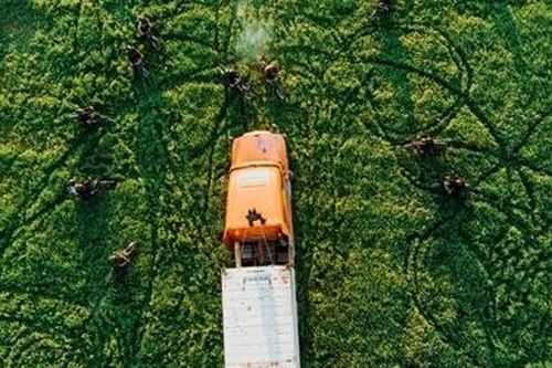Êkip làm phim hùng hậu hội ngộ trong '578: Phát đạn của kẻ điên'