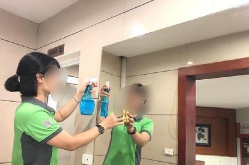 Nữ thạc sĩ làm thêm nghề giúp việc gia đình