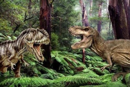 Khủng long bạo chúa có thể từng sống như chó sói