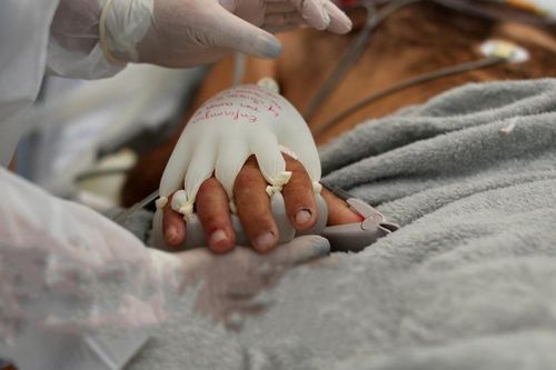 'Bàn tay yêu thương' giúp bệnh nhân Covid-19 bớt cô đơn