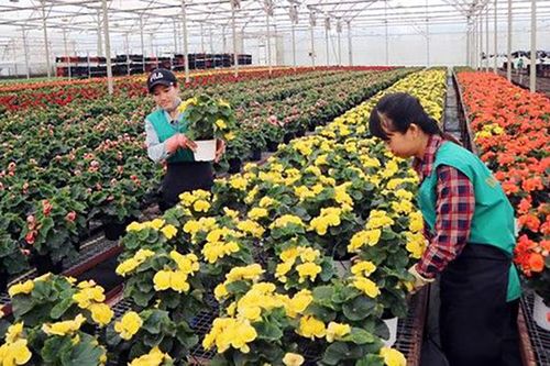 Thúc đẩy chuyển đổi số trong nông nghiệp