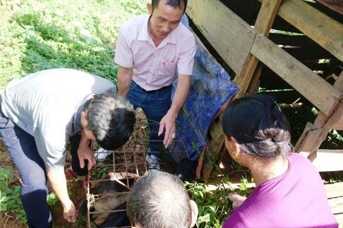'Bà đỡ' thoát nghèo cho người H'Mông Pà Khốm