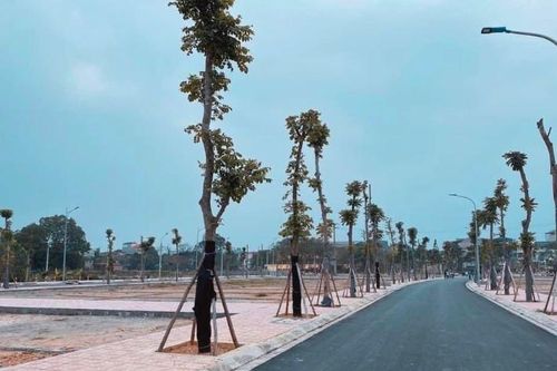Quay cuồng cơn sốt đất, nghề môi giới 'lên ngôi'