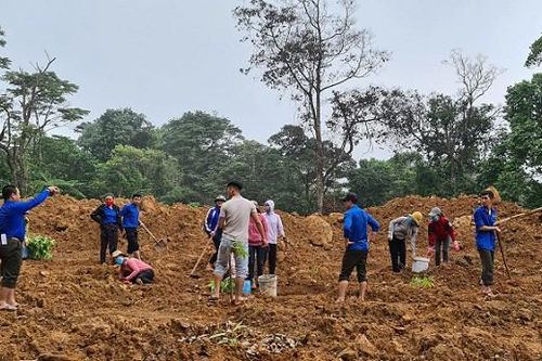 Trồng hơn 3.000 cây xanh tại các điểm sạt lở Vườn quốc gia Phong Nha – Kẻ Bàng