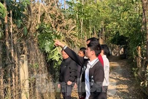 Sơn La chính thức dừng triển khai dự án xây dựng nghĩa trang gần trường học