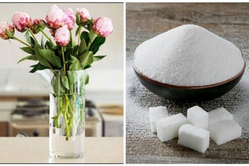 Thấy vợ thả đường vào nước cắm hoa chồng tròn mắt kinh ngạc, nhưng hiệu quả thật khó tin