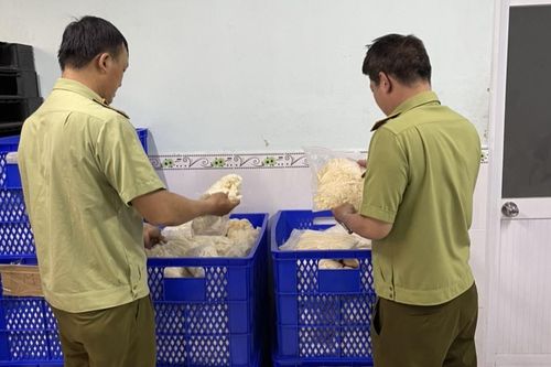 Lực lượng quản lý thị trường liên tiếp thu giữ nhiều lô găng tay không rõ nguồn gốc