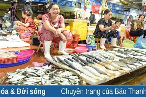 Chợ hải sản đồng hành cùng du lịch ở thành phố biển Sầm Sơn