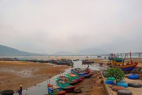 Hà Tĩnh: Nguồn hải sản trước nguy cơ tận diệt, ngư dân Cẩm Nhượng kêu cứu
