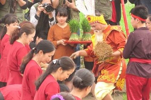 Nơi Vua Hùng dạy dân trồng lúa