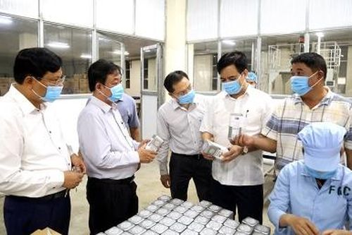 Bộ trưởng Bộ NN&PTNT Lê Minh Hoan thăm một số mô hình sản xuất nông nghiệp tại Phú Thọ