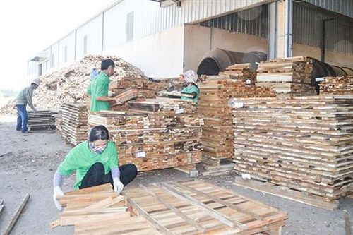Cần đảm bảo an toàn vệ sinh lao động trong ngành công nghiệp chế biến gỗ