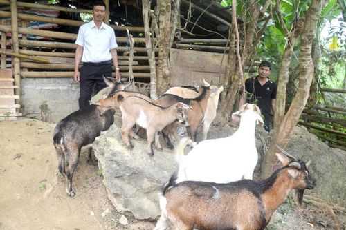 Vận động hội viên tham gia phát triển kinh tế tập thể