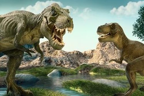 Khủng long bạo chúa săn mồi 'như chó sói'?